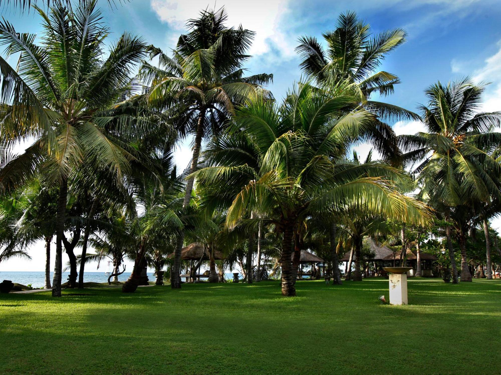 Puri Bagus Lovina Hotel Exterior foto